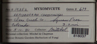Image Associated With the Occurence